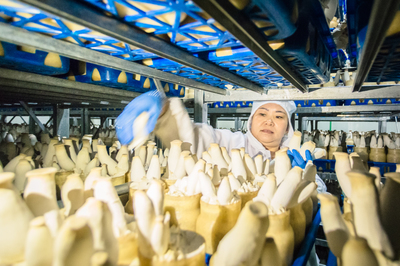 擇古堰畫鄉古街 遇詩情畫意蓮都_湘湖網_湘湖視界