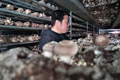 隆德:壯大集體經濟造福一方百姓