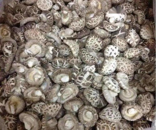 年底冬季臻味山貨花菇上架 特選大花菇98元 斤省內包郵,花菇厚身 爽滑,冬季煲湯入菜均可,送禮佳品