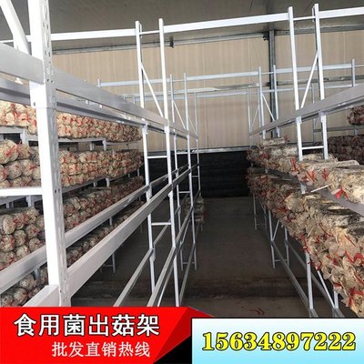 蘭州 食用菌層架出菇架 食用菌工廠化出菇架