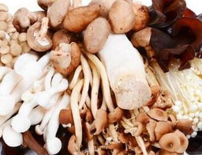 加盟食用菌費用多少