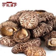 【福建特產干貨花菇】最新最全福建特產干貨花菇 產品參考信息