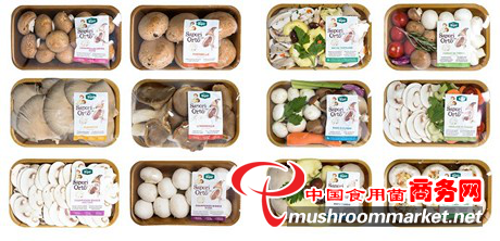意大利Sipo公司新食用菌系列產品受歡迎