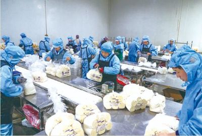 現代化菌業 助力鄉村振興