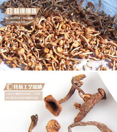 大姐農莊 2017新東北野生榛蘑精選去根食用菌特產包郵