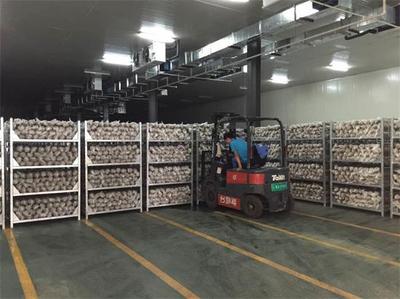 快訊:商務網理事長李玉春一行到內蒙古漠菇生物參觀考察_產業資訊_食用菌新聞_中國食用菌商務網