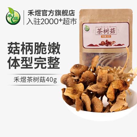禾煜 福建古田茶樹菇40g 蘑菇菌菇食用菌 山珍南北干貨 福建古田特產