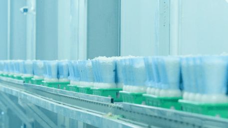 冠惠白玉菇 蟹味菇 鮮爽脆嫩 清甜可口 鮮香四溢,一口夢回自然