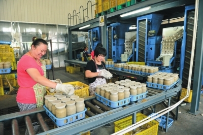 北京通州:蘑菇種植戶均年收入5萬元以上_致富經_新浪財經_新浪網