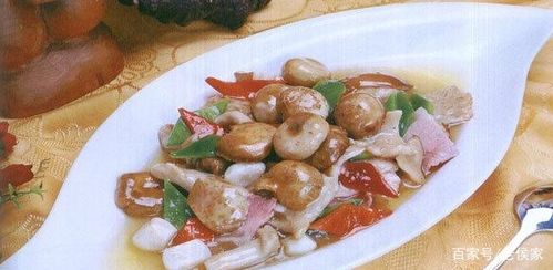 野菌飄香 松茸與雞樅的做法全解析，你最愛哪一種？