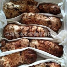 初元熟酸奶飲品及食用菌的價格分析與市場概況