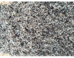 棉殼與棉籽殼在食用菌生產中的關鍵作用及供應渠道