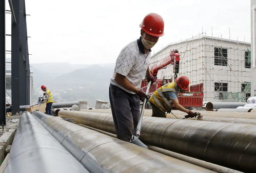 道真食用菌農業現代化產業園一期即將投產，助力食用菌產業高質量發展