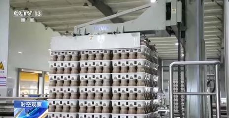 2023鄉村振興如何開局？現代農業產業園助力食用菌產業盡顯'科技范'