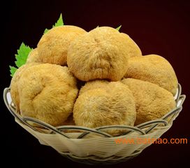 綠色食品猴頭菇 食用價值、食用方法、生產廠家與價格全解析