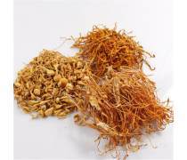 食用菌 大自然賜予的健康瑰寶